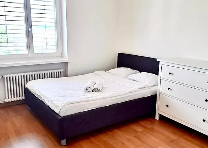 Apartment Superior With View University110